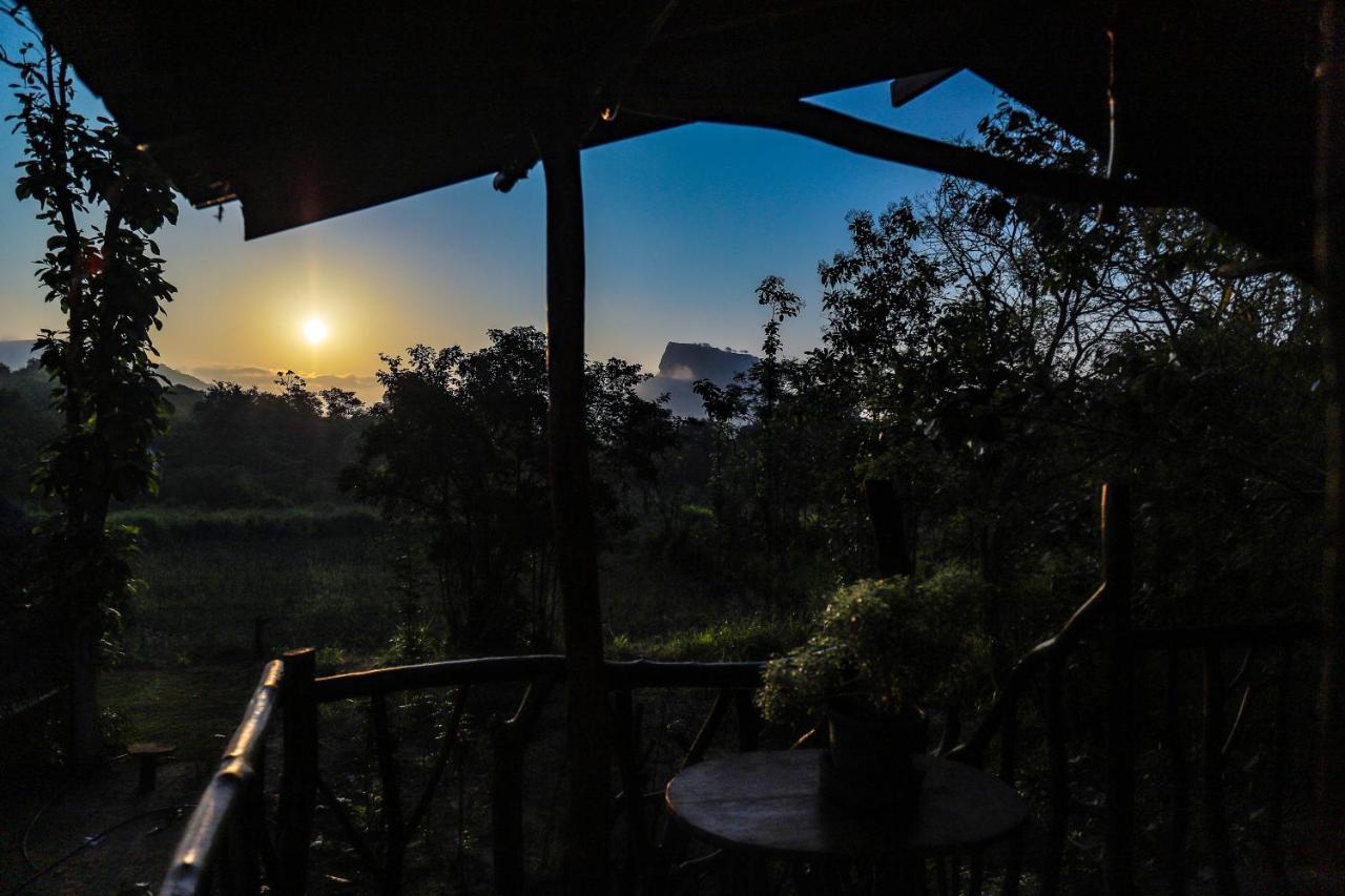 Sigiriya Rock Gate Tree House Hotel Exterior foto