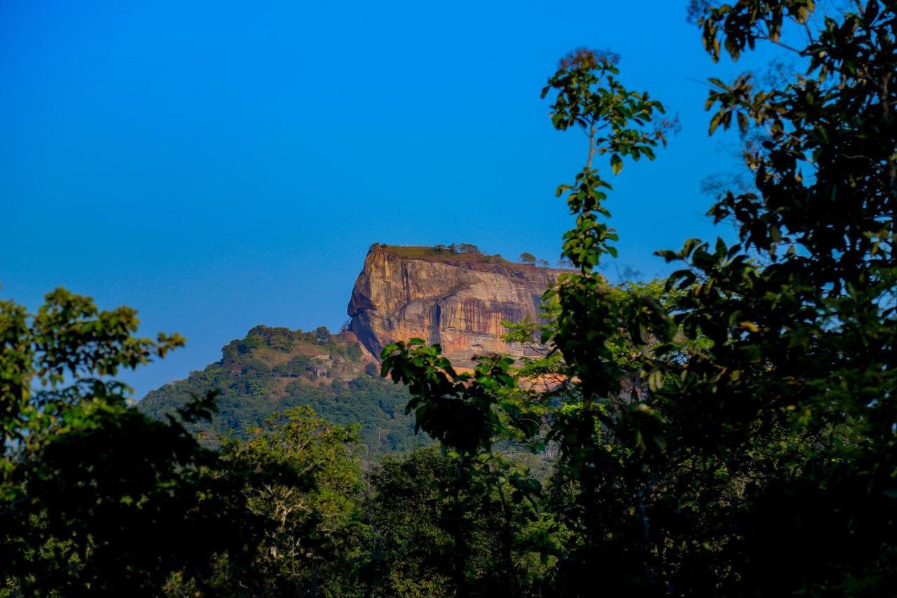 Sigiriya Rock Gate Tree House Hotel Exterior foto
