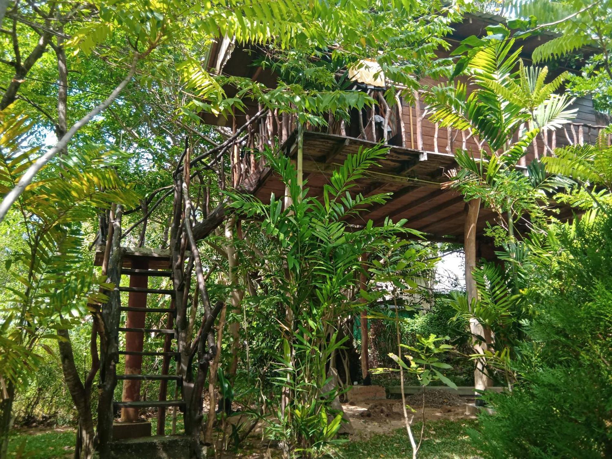 Sigiriya Rock Gate Tree House Hotel Exterior foto