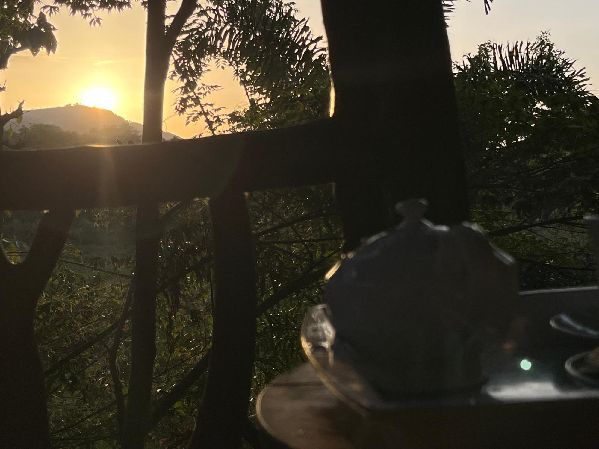 Sigiriya Rock Gate Tree House Hotel Exterior foto