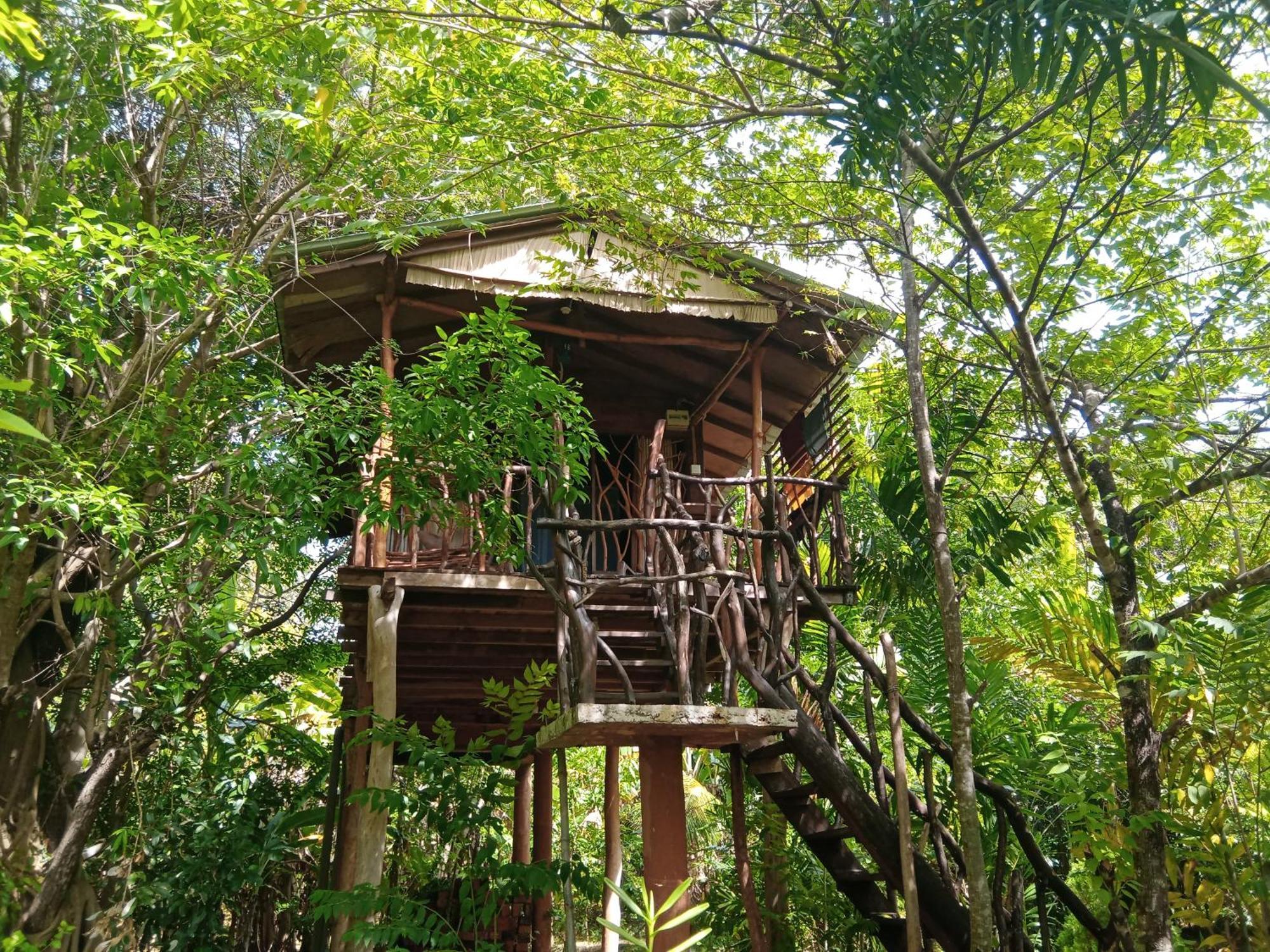 Sigiriya Rock Gate Tree House Hotel Quarto foto